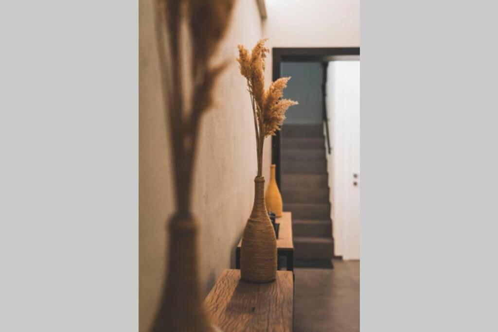 Torre 13 Διαμέρισμα Μόντενα Εξωτερικό φωτογραφία